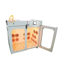 EUR VET Séchoir de haut niveau pour animaux domestiques Grande machine à sécher automatiquement Nettoyeur de soins pour chiens et chats Salle de toilettage avec lumière LED