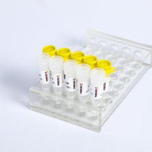 KASP PCR Mix - Pre-miscela 2X per Genotipaggio SNP/InDel |   GDSBio - Product Image 2