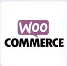 Agents de Dropshipping Shopify WooCommerce TikTok avec Expédition Rapide et Services d'Exécution Express pour Boutiques E-commerce