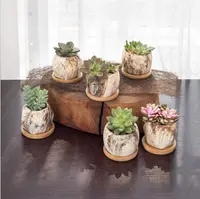 5 PCS Stile Moderno Marmorizzazione Pot di Fiore di Ceramica Succulente/Cactus Fioriera Pentole con il Foro con Vassoio di Bambù