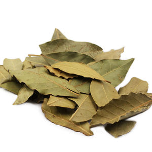 عالية الجودة المجففة ورقة الغار التوابل الغار ورقة الغار - Product Image 2