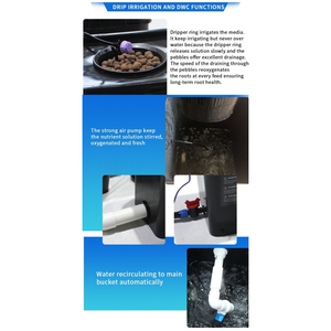 Système d'hydroponie RDWC à 6 seaux de 27 L pour l'irrigation goutte à goutte, culture de plantes d'intérieur, fournitures de jardinage <span class=keywords><strong>en</strong></span> PP - Product Image 3