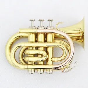 Günstige chinesische Taschen trompete zum Verkauf * (FPT-150)