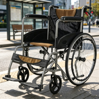 Carrito de Mano Plegable de Acero al Carbono para Movilidad, Silla de Ruedas Manual para Personas Mayores y con Discapacidad, para Movimiento Diario al Aire Libre