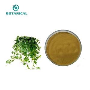 Высокое качество натуральный высушенный 100% чистый экстракт листьев плюща 10:1 экстракт плюща - Product Image 4