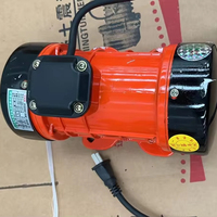ZW 0,25 kW angebrachter Beton vibrator 220V Vibrator motor Hersteller Verkauf