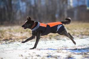 Truelove高品質反射防水加熱パターン犬のコート犬の服冬のペットの犬のジャケット - Product Image 6