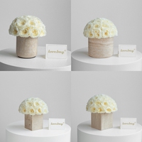 Lovebay – Fleurs éternelles de pivoine préservée haut de gamme dans un vase, fleurs de pivoine naturelles préservées dans une pierre naturelle