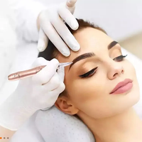 Poudre de maquillage permanent CE REACH conforme aux normes UE pour microblading des sourcils, repigmentation des lèvres, encre de tatouage pour sourcils, pigment hybride PMU
