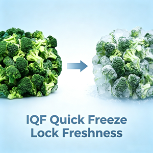 Fleurs de <span class=keywords><strong>brocoli</strong></span> surgelées IQF, coupées fraîchement cueillies, légumes verts naturels, pour la restauration, la transformation alimentaire, vente en gros, exportation - Product Image 2