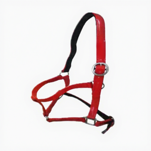 Low Moq Horse Riding Halter in <b>Pvc</b> ss fittings breathable for Equestrian <b>Top</b> Indian Seller - Product Image 1