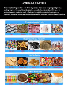 Máquina De Inspeção De Raio X De Alimentos De Venda Quente Máquina De Inspeção De Matéria Estrangeira <span class=keywords><strong>Detector</strong></span> De Metais Para Indústria Alimentar - Product Image 3