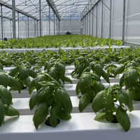 Système hydroponique NFT pour serres agricoles, équipement de culture commercial pour la laitue et toutes les légumes à feuilles.