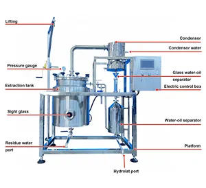 Ruiyuan-extractor de aceite esencial de hierba de limón, máquina de extracción de aceite esencial de Rosa ultrasónica