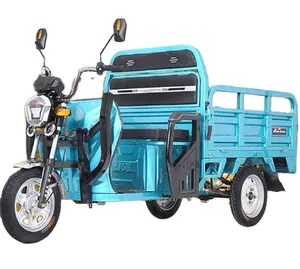 Asia Best-Selling Electric Tricycle for Farmer Adults with Lead-Acid Battery and Rechargeable
