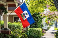 Drapeau d'Haïti personnalisé imprimé en polyester 3x5 pieds, vente en gros d'usine
