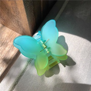 <span class=keywords><strong>Pince</strong></span> à cheveux <span class=keywords><strong>papillon</strong></span> double couche dégradée en gros pour femmes, <span class=keywords><strong>pince</strong></span> requin de luxe couleur gelée mate pour <span class=keywords><strong>coiffure</strong></span> mi-attachée - Product Image 6