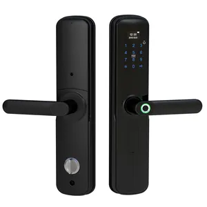 cheap biometric fingerprint door lock Fingerprint and PIN code read electric cylinder lock digital door handle lock