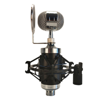 Lane Bm-800x professionnel condensateur filaire Studio pour jeux diffusion en direct Ssinging Microphone métal condensateur Mic 2 Kg / CN;GUA