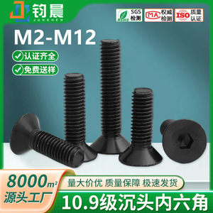 Tornillos de Cabeza Plana con Hexágono Interior M2 M3 M5 M6 M8 M10 M12 Clase 10.9 de Acero al Carbono con Recubrimiento Negro, Rosca Métrica - Product Image 5