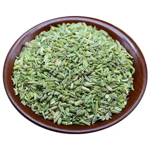 ZZH spices & herbs products supplier wholesales fennel whole food seasonings fennel seed spice fennel saunf