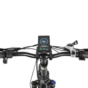 Bicicleta Eléctrica Plegable de 250W con Envío Directo desde Almacén de la UE, Batería de Litio de 48V 13Ah, Neumáticos Anchos, 7 Velocidades, para Desplazamientos Diarios en la Ciudad - Product Image 3