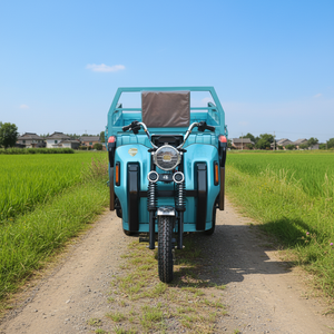 Tricycle électrique modèle Luba 1,5 m 60 V 800 W, caisse ouverte, batterie au lithium pour le transport - Product Image 3