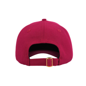 TCAP China 6 Panel Wool Blend Custom Hats Embroidery Red Light Dad Hats - Product Image 3