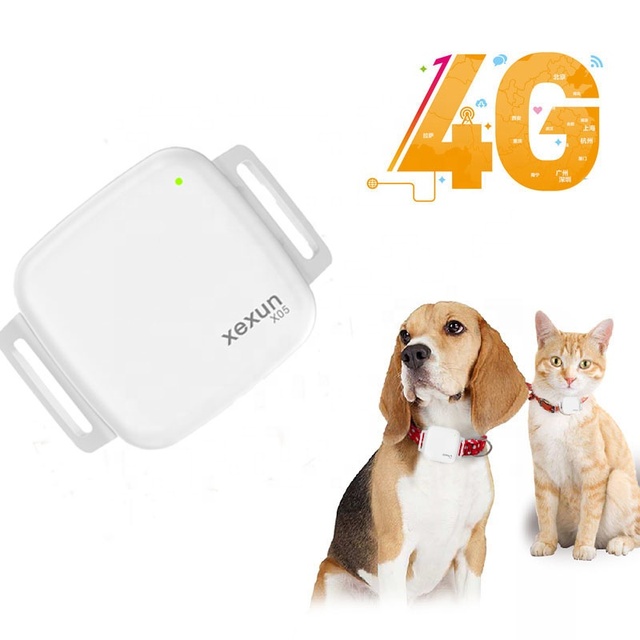 XEXUN New Arrival Track Mini Locator 4g Dog Cat Tracking Chip Gps Tracker for Cat Mini Gps Pet