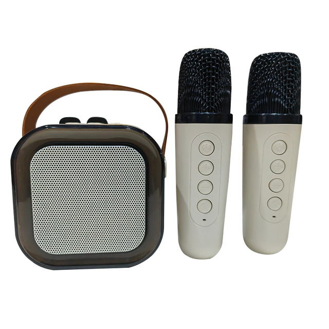 Worthy Mini Portable Karaoke Speaker with Wireless Microphone and Colorful Lights for Kids Adults Metal Active RGB 3W