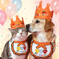Offre Spéciale : Chapeau et Bavoir d'Anniversaire pour Animaux de Compagnie – Collier Écharpe en Peluche Mignon, Nœud Papillon Joyeux Anniversaire, Accessoires de Célébration pour Chats et Chiens