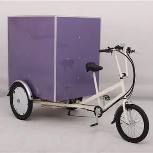 यूरोपीय संघ के मानक बिजली कार्गो tricycle तीन पहियों के साथ 500W बड़े ट्रक एक्सप्रेस वितरण वाहन ट्राइक रसद तिपहिया साइकिलें