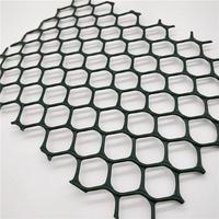 Устойчивая к УФ-излучению геосетка из HDPE для защиты склонов, фиксации растительности, укрепления берегов рек и экологической реставрации