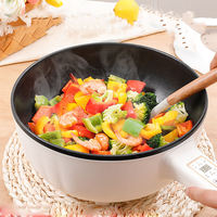 Vente d'usine Pot électrique 4L 1500W cuisine domestique électrique Portable cuisson poêles Pot