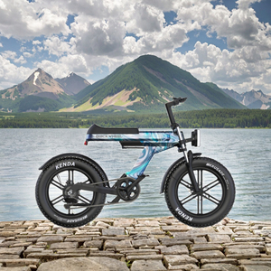 จักรยานไฟฟ้า <span class=keywords><strong>C9PRO</strong></span> สำหรับปั่นภูเขาและในเมือง แบตเตอรี่ลิเธียม มอเตอร์ไร้แปรงถ่าน ยางใหญ่ สำหรับผู้ใหญ่-JANSNO 48V โครงไทเทเนียม เกียร์คู่ 7 สปีด - Product Image 3