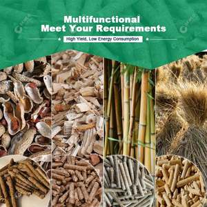 Macchina elettrica per <span class=keywords><strong>Pellet</strong></span> di cane da compagnia macchina per <span class=keywords><strong>Pellet</strong></span> di paglia di riso macchina per <span class=keywords><strong>Pellet</strong></span> di pistola ad aria compressa stampo 23 i8 - Product Image 6