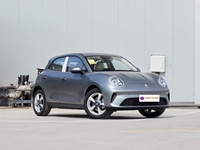 OR-A Good Cat, voiture électrique rétro à hayon, longue autonomie, Euro NCAP cinq étoiles, cockpit intelligent, exportation mondiale