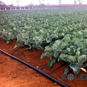 Système d'irrigation agricole, ruban d'irrigation goutte à goutte par tuyaux en polyéthylène avec mini vannes