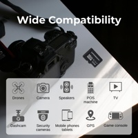 Kartu Memori TF V10 Grosir dengan Kecepatan Tinggi Kapasitas 2GB, Kartu Flash Kecil untuk Dash Cam dan Kamera Keamanan