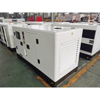 Generador diésel portátil silencioso de 10kw 25 Kva 110v y 220v, pequeño y compacto, trifásico de 20kw