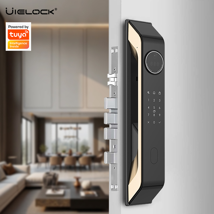 Tuya WiFi App 3D Face Fingerprint Recognition Video Intercom Smart Lock Cloud Key Card Access Steel/Aluminum/Wood 4.5" Screen · image 3