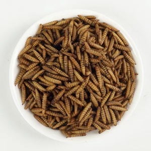 Tự nhiên động vật thực phẩm protein cao khô đen lính Fly ấu trùng - Product Image 4