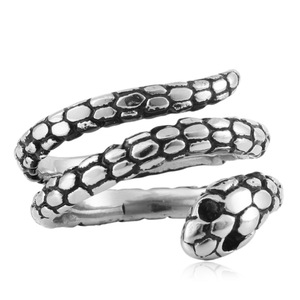 Men's <b>Titanium</b> Steel Snake <b>Ring</b> Double Circle Animal Shape Stainless Steel Jewelry Gift Fashion <b>Ring</b> Steel Color Geometric - Product Image 1