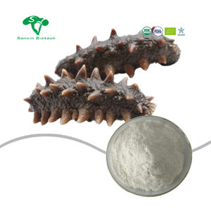 Fabrika kaynağı denizhıyarı peptid tozu Boost enerji denizhıyarı kollajen hayvan özü 98% denizhıyarı peptid tozu - Product Image 1