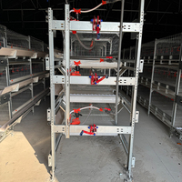 Système de cages verticales de type H pour rôtissoires à viande, poulailler automatique en structure acier, enclos à poulets pour l'élevage en maille soudée