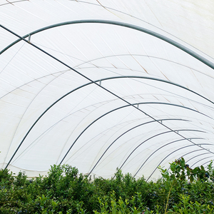 Grande Tunnel per la Protezione delle Colture di Mirtilli, Pesche, Pere e Frutteti in Australia - Product Image 4