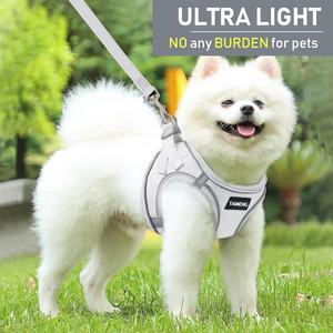 Premium Hammadde Kullanılarak Üretilmiş Köpekler ve Evcil Hayvanlar İçin Açık Hava Ekipmanları, Lüks Tasarım Özel Klasik Kedi Köpek Tasması ve Tasma Seti - Product Image 5