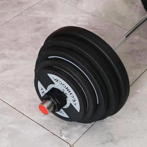 Rubber Coated Cast Iron Barbell <b>Dumbbell</b> Plate Set Wear Resistant for Commercial and Home Fitness Weightlifting Equipment - Product Image 3