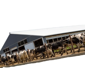 Cobertizo de vaca de acero ligero prefabricado de China para edificios de estructura de acero de diseño Industrial de bajo costo de Casa de <span class=keywords><strong>apartamentos</strong></span> de granja - Product Image 6