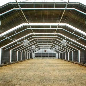 Invernadero Agrícola de un Solo Tramo, Cubierta de Lona de Gran Tamaño con Puerta y Ventilador - Product Image 4